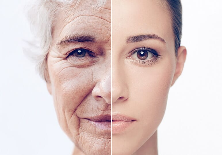 Delaying the effects of aging on our bodies