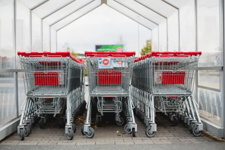 Best Grocery Shopping Cart For Seniors