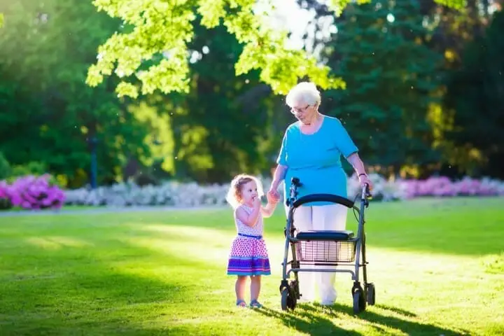 Best Rollator Walker Transport Chair Combo