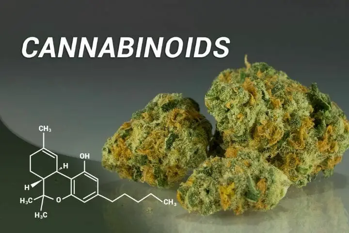 Cannabinoids