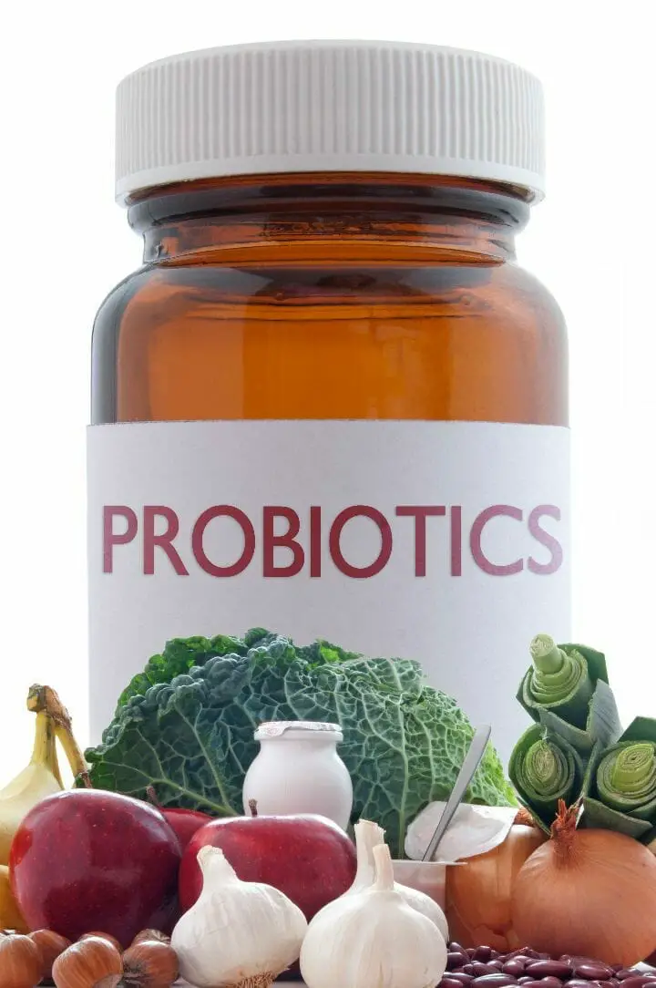 Best Probiotics for Diverticulitis