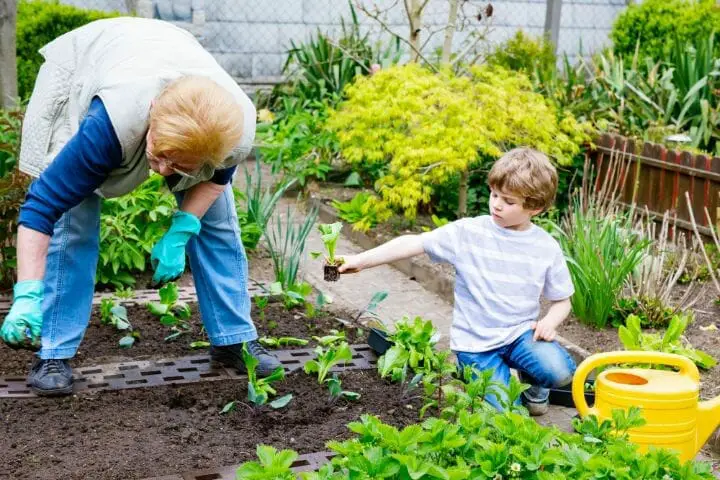 Gardening Benefits for Seniors