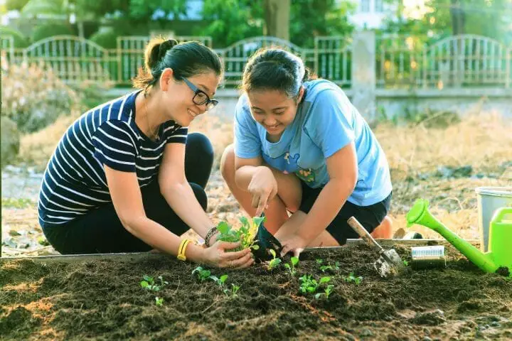 Outdoor Activities for Mentally Disabled Adults