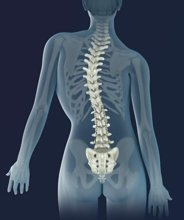 Spine curve with Scoliosis