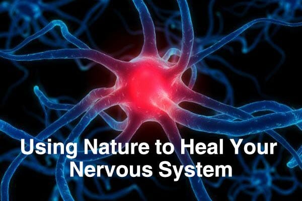 Using Nature to Heal Your Nervous System
