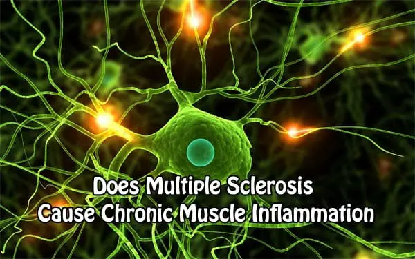 Does Multiple Sclerosis Cause Chronic Muscle Inflammation