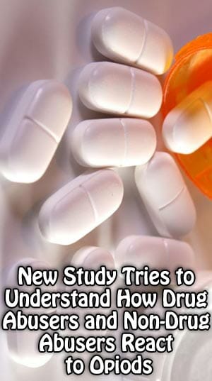 New Study Tries to Understand How Drug Abusers and Non-Drug Abusers React to Opiods