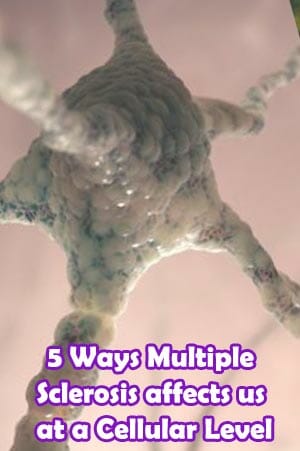 5 Ways Multiple Sclerosis affects us at a Cellular Level