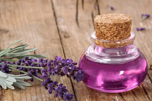 Lavender Oil for Muscle Spasms