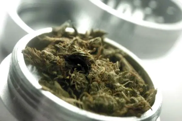 medical Marijuana for Chronic Pain
