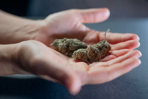 fibromyalgia and marijuana