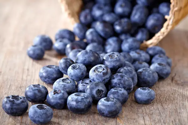 Blueberries for healthy liver