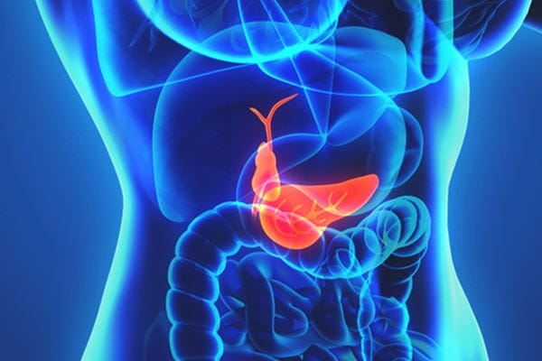 What is the Gallbladder