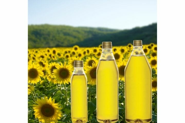 Choosing the Right Cooking Oils for Seniors