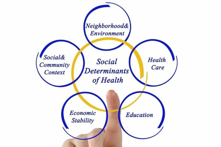 Social Determinants Of Health For Seniors