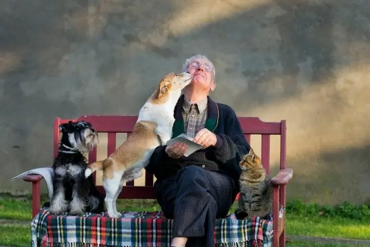 Amazing Benefits Pets Bring To Seniors