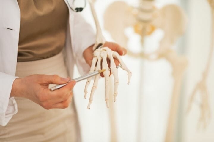 A Guide to Bone Health for Seniors and Caregivers