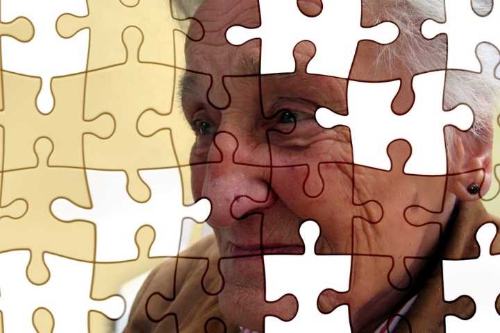 Dementia - The Complete Guide for Seniors and Caregivers