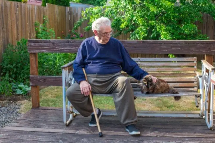 Amazing Benefits Pets Bring To Seniors