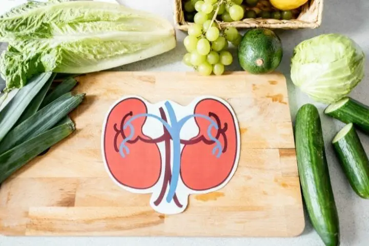 How To Improve Kidney Function In the Elderly