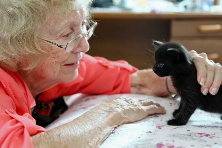 Amazing Benefits Pets Bring To Seniors