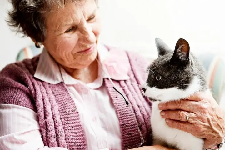 Amazing Benefits Pets Bring To Seniors