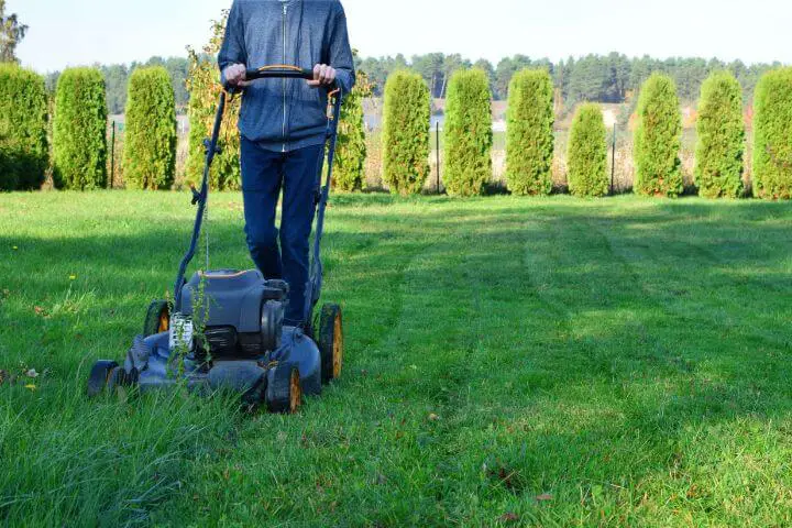 mowing lawn grass