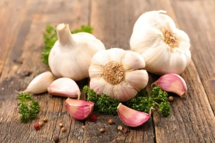 Benefits Of Garlic