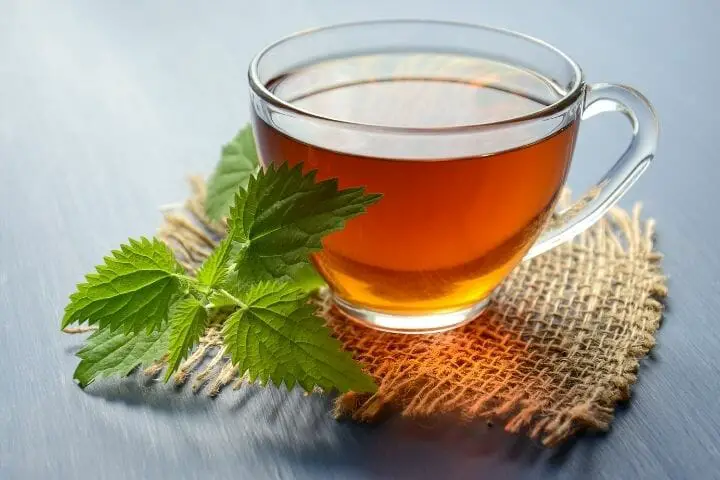 Health Boosting Teas for Seniors