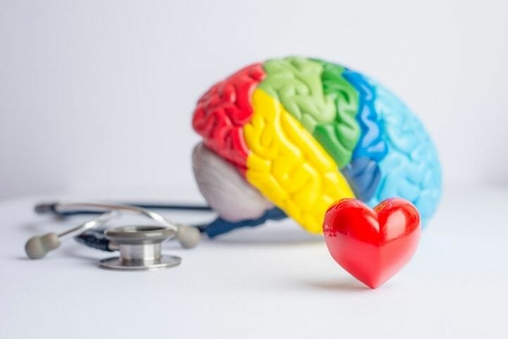 Ways to Maintain Your Brain Health as You Age