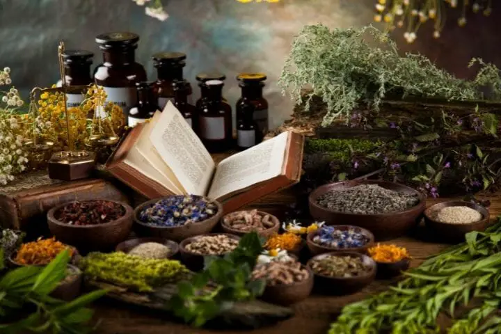 What Are Different Types Of Alternative Medicine?