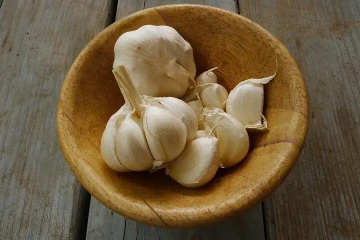 Benefits Of Garlic