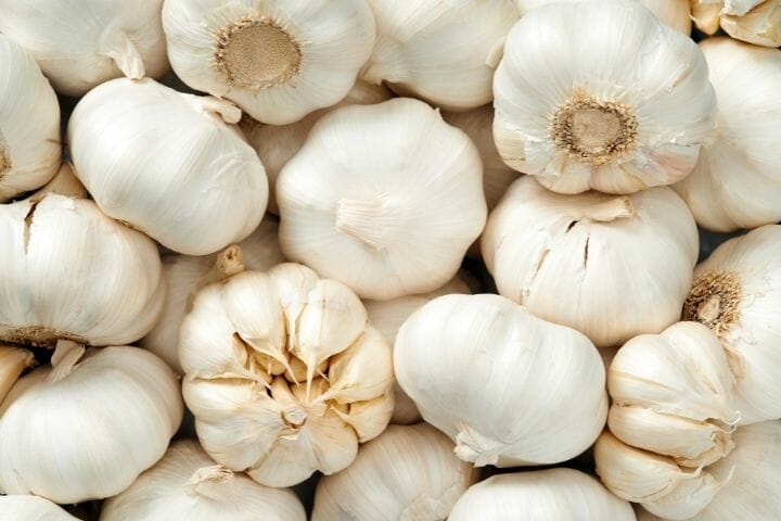 Benefits Of Garlic