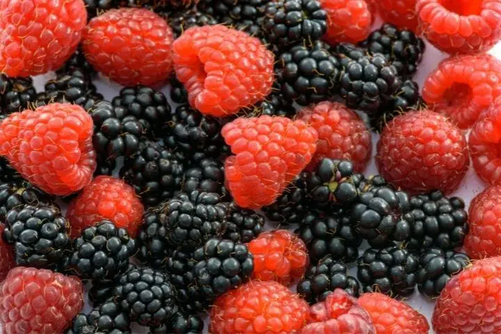 Benefits Of Berries As You Age