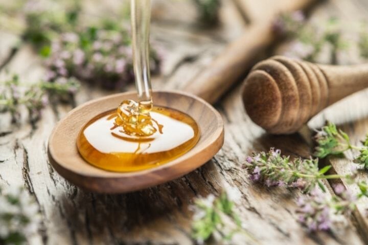 Is Honey Good For Senior Citizens