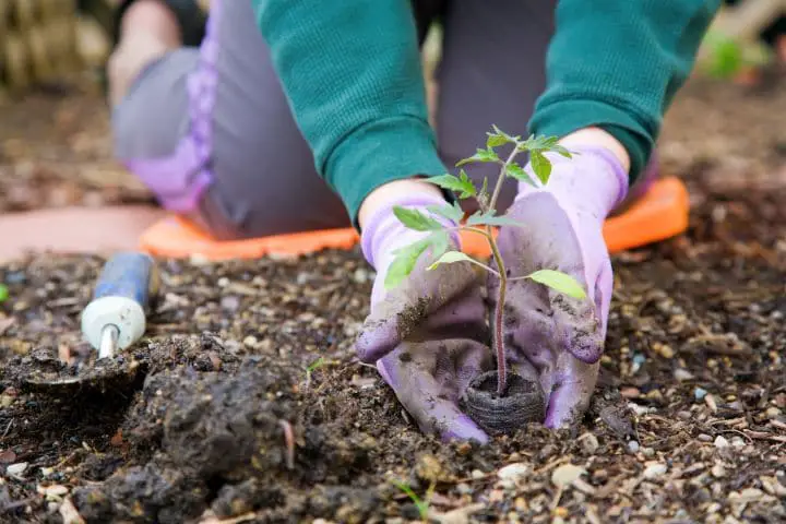 Best Garden Kneelers With Handles