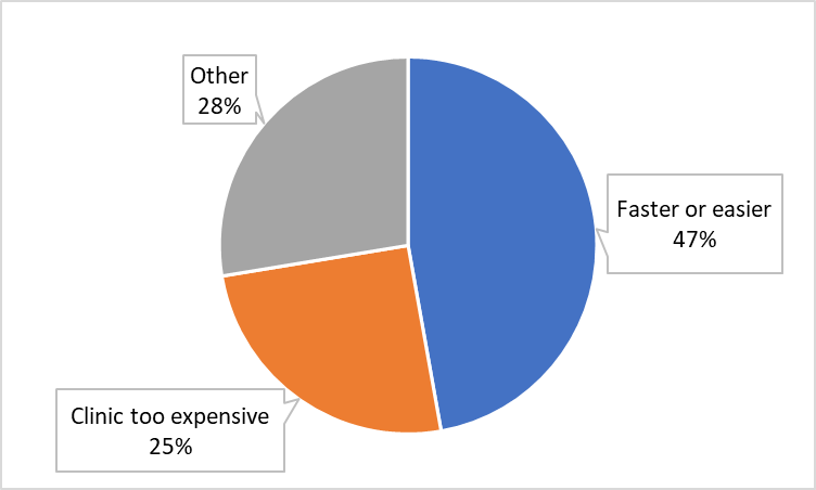 Cited reasons for seeking a self-induced abortion