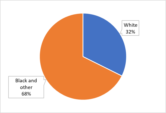 Ethnic Distribution of Pregnancy-Related Deaths in 1972 and 1973