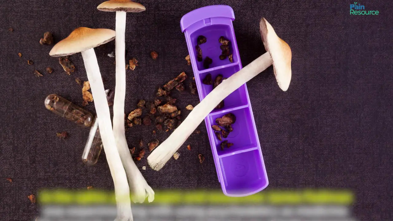 microdosing mushrooms does it he