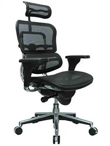 Ergohuman Eurotech GEN2 High Back Black Mesh Office Chair with Adjustable and Flexible Lumbar Support Headrest, Seat Slider, Armrests, and Height Adjustment