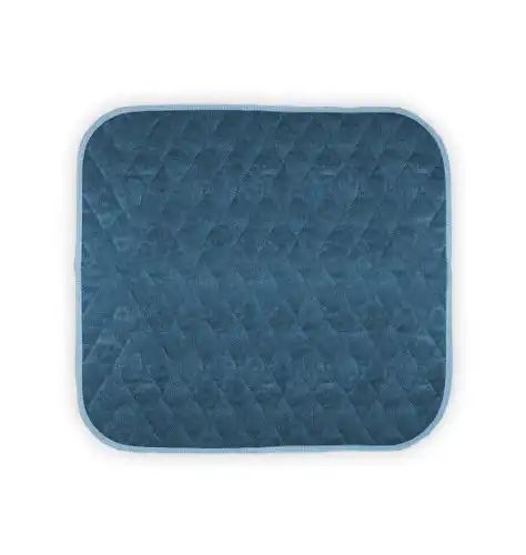 Americare 1 Pack Washable Waterproof Seat Protector Pads, 21" x 22" Reusable Seat Cover, Furniture Protection for Protection for Elderly Seniors, Kids, Pets, Ultra Absorbent Pee Pads (Blue)