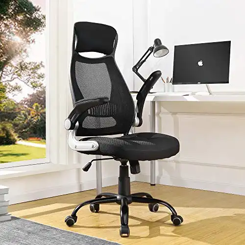 BERLMAN Ergonomic High Back Mesh Office Chair with Adjustable Armrest Desk Chair Computer Chair (Black Plus)